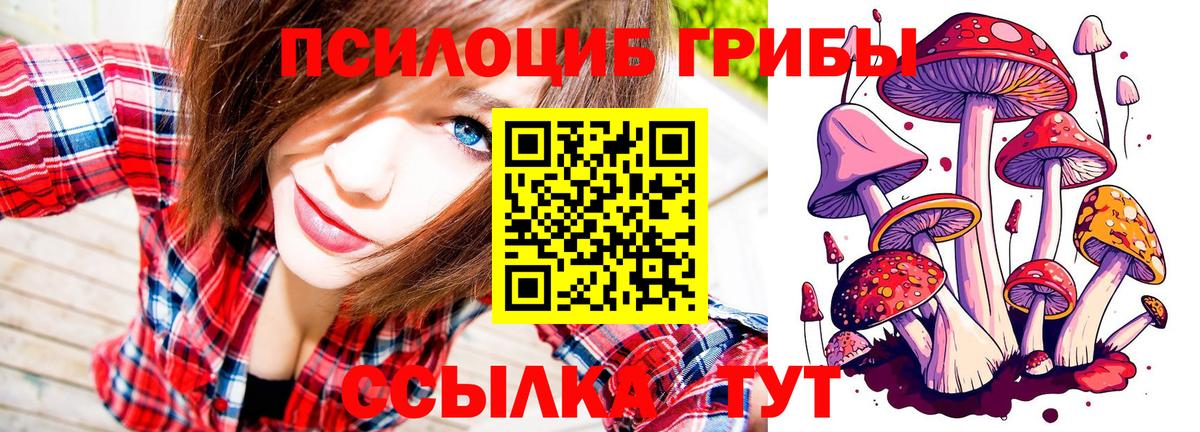 Кингисепп  Псилоцибиновые грибы мухоморы  Вход с VPN  Псилоцибиновые грибы Magic Shrooms 