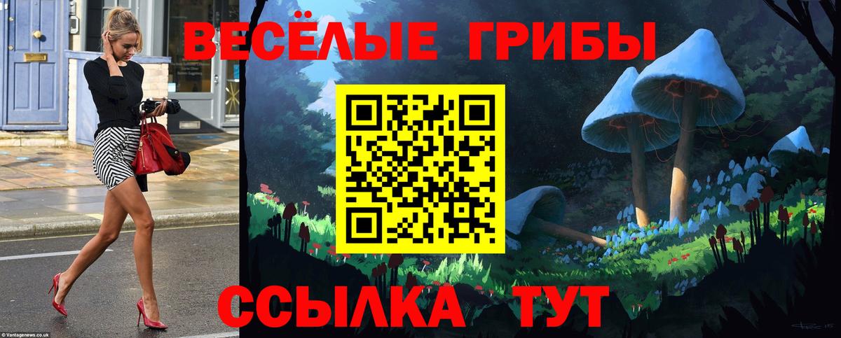 Галлюциногенные грибы ЛСД Кингисепп